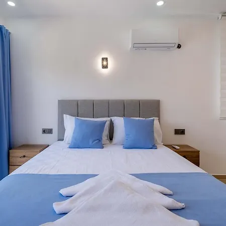 Lupin Villa Villa